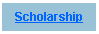 Text Box: Scholarship 