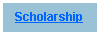 Text Box: Scholarship 