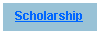 Text Box: Scholarship 